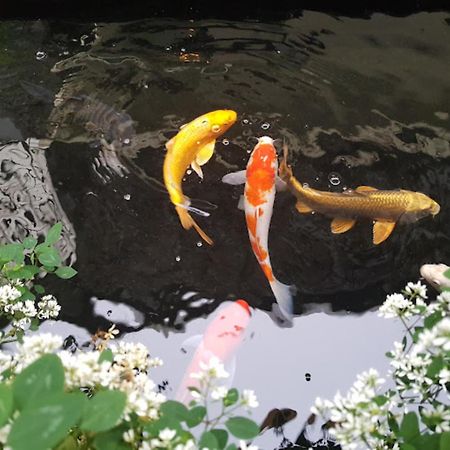 Vuon Tra Homestay Mang Den Kon Von Kla Buitenkant foto