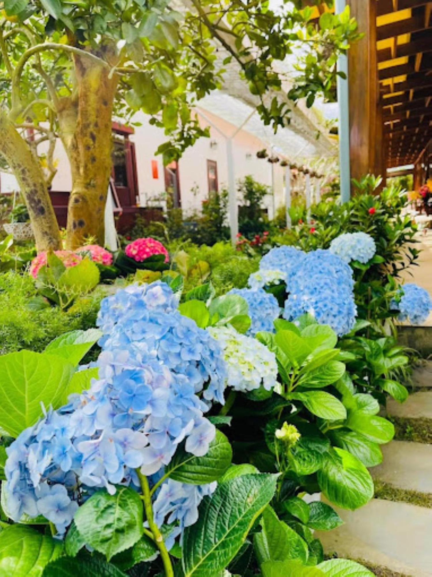 Vuon Tra Homestay Mang Den Kon Von Kla Buitenkant foto