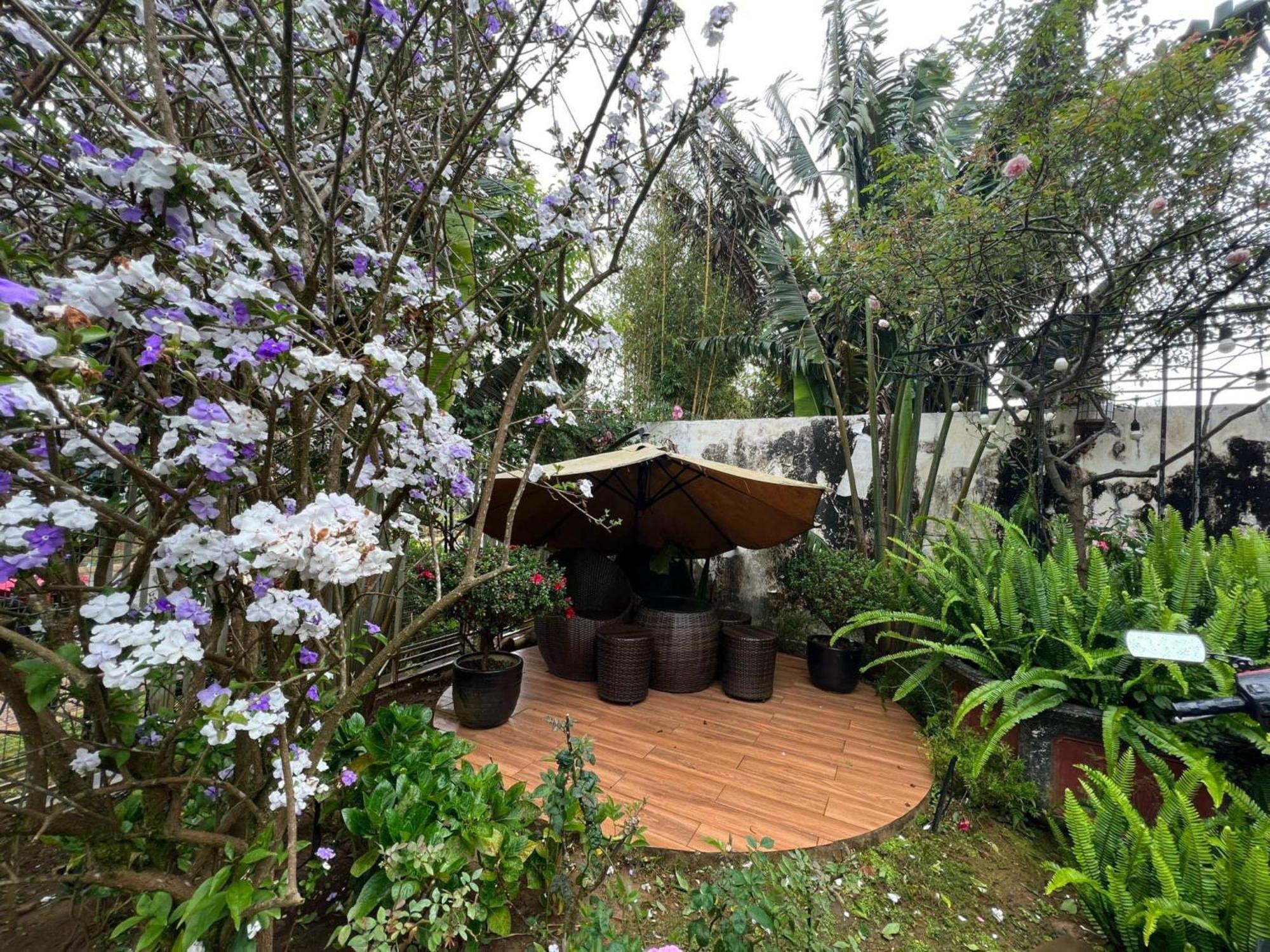 Vuon Tra Homestay Mang Den Kon Von Kla Buitenkant foto