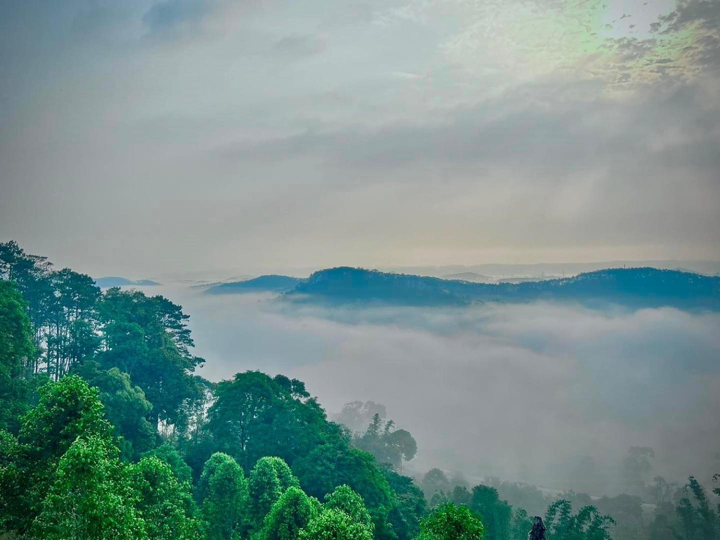 Vuon Tra Homestay Mang Den Kon Von Kla Buitenkant foto