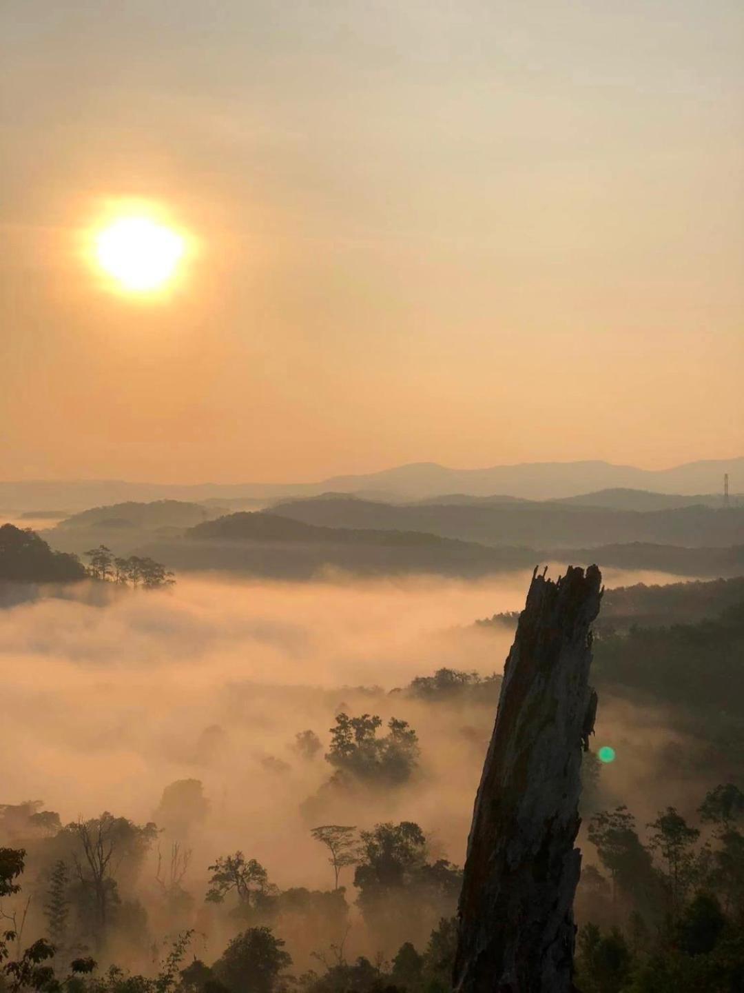 Vuon Tra Homestay Mang Den Kon Von Kla Buitenkant foto